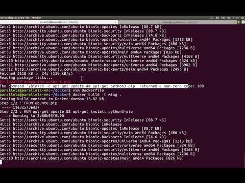 Docker进阶：4.4 run和env的使用