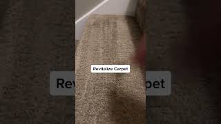 @cooklikeamother HOW TO MAKE CARPET LOOK BRAND NEW