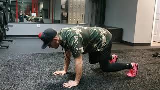 Bear Plank Fast Hands