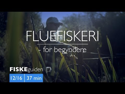 FISKEguiden 12/16: Fluefiskeri for begyndere