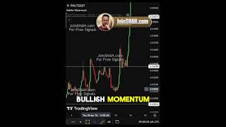PNUT Price Curling Up – Hidden Move Building? #pnut #pnutcoin #crypto #cryptoupdates