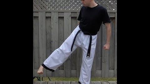 Taekwondo: Hapkido: Foundations: Blocking side kick - side view