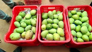 3 January 2026 Live Auction Batasingaram Fruit Market Hyderabad