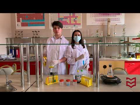 გიმნაზია \"შავნაბადა\" (პროექტი: \"ჩხირკედელა\")