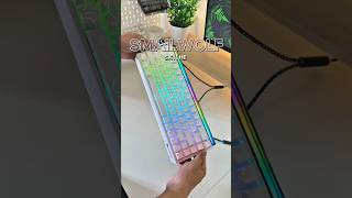 Bàn Phím Rapid Trigger SMAILWOLF SK11 HE #keyboard #banphimco #SK11HE #smailwolfsk11he