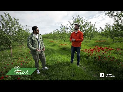 #ფერმა როგორ იქმნება ახალი აგროსაქართველოს ისტორია - უდაბნოს წალკოტად გადაქცევის ამბავი