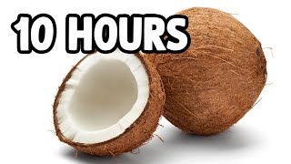 Coconut 10 Hours