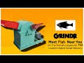 how fish is made | Hot Indie game|