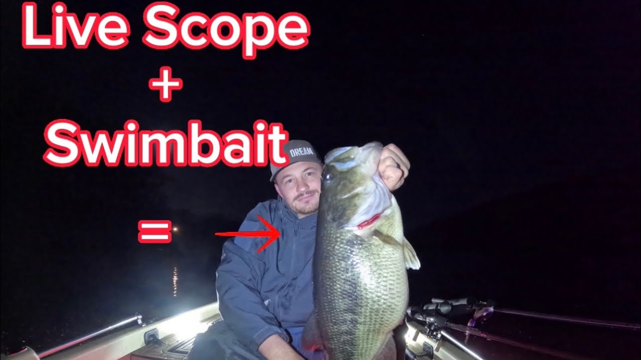 Cast to catch of this Northern Giant on a swimbait utilizing Garmin Live Scope!