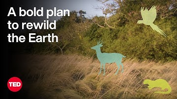 A Bold Plan to Rewild the Earth — at Massive Scale | Kristine McDivitt Tompkins | TED
