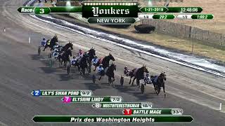 Vidéo de la course PMU PRIX DES WASHINGTON HEIGHTS