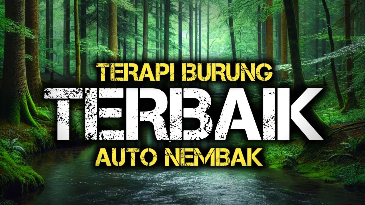 Air Mengalir Terapi burung, Air Gemericik, Terapi Air Untuk Semua Jenis Burung, Air Mengalir Alami