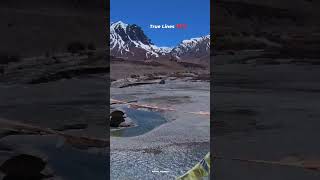 Modern Relationship: Complicated 💯 #digitaltrekker #travel #shayri #nature