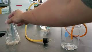 CHEM 120- Exp #11- Data- Trial 1