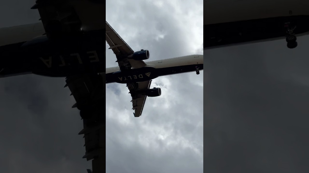 A321 MAJESTIC Close-Up Into ATL 