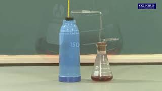 Practical 21.8 Design an investigation of alcoholic fermentation in yeast