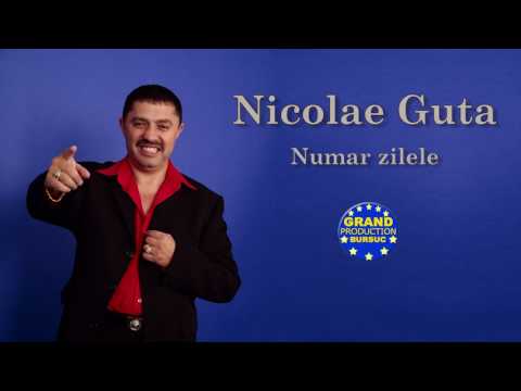 Nicolae Guta - Numar zilele (Official Track)