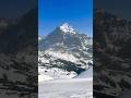 📍Grindelwald First, Switzerland🇨🇭#switzerland #grindelwald #swiss