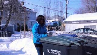 Green Cart Basics