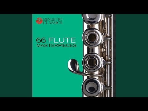 Regardez Flute Concerto No. 4 in G Major, RV 435: II. Largo sur YouTube