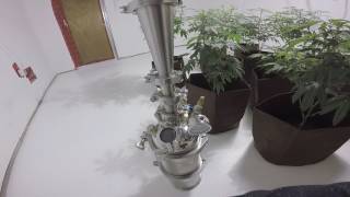 9000Watt Cob LED Grow Season 3 Episode 2