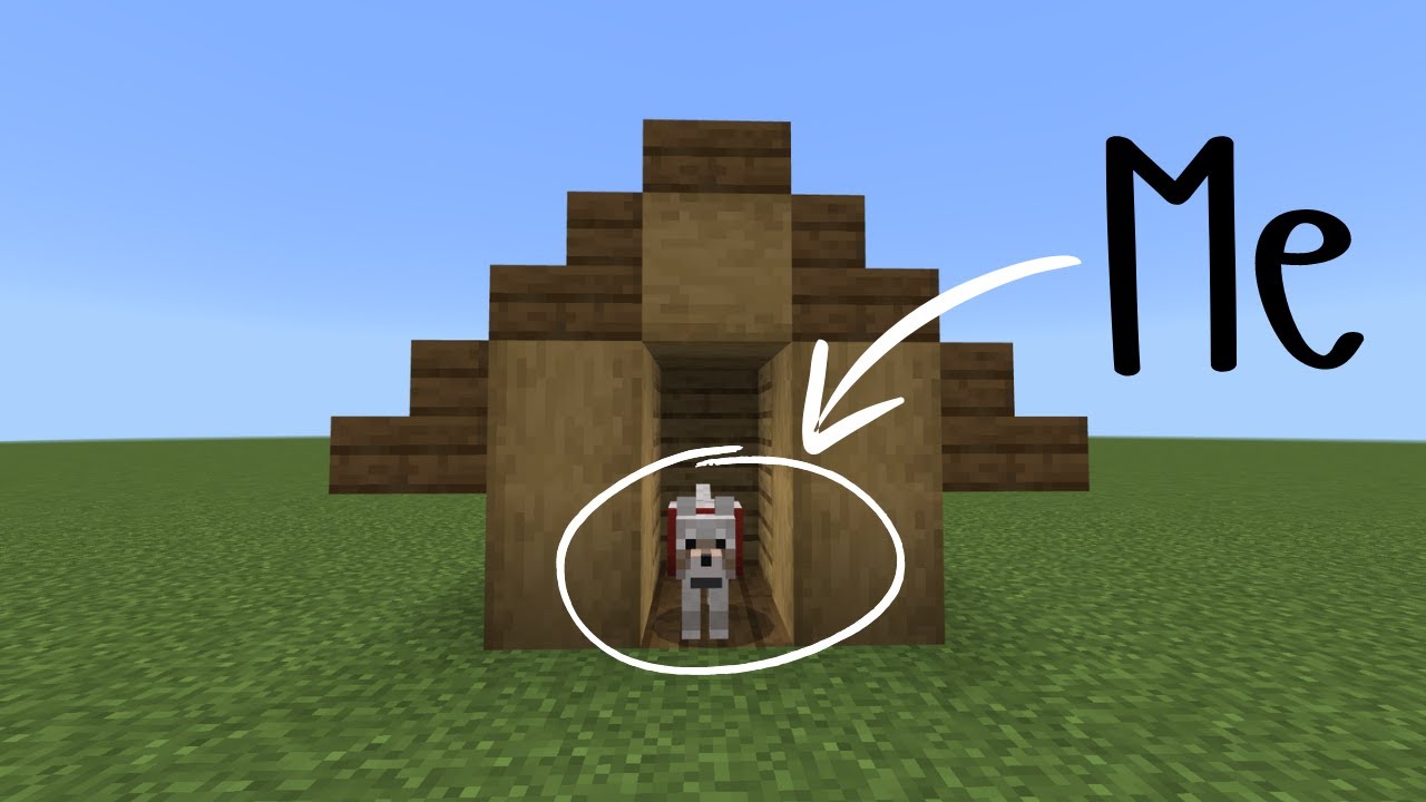 How To Morph With NO MODS OR DATA PACKS! Minecraft Bedrock! - YouTube