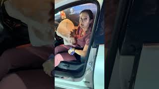 Download Lagu What Really Happens After a Car Accident? MP3