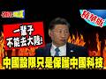 中國科技、稀土與對美反制敘事