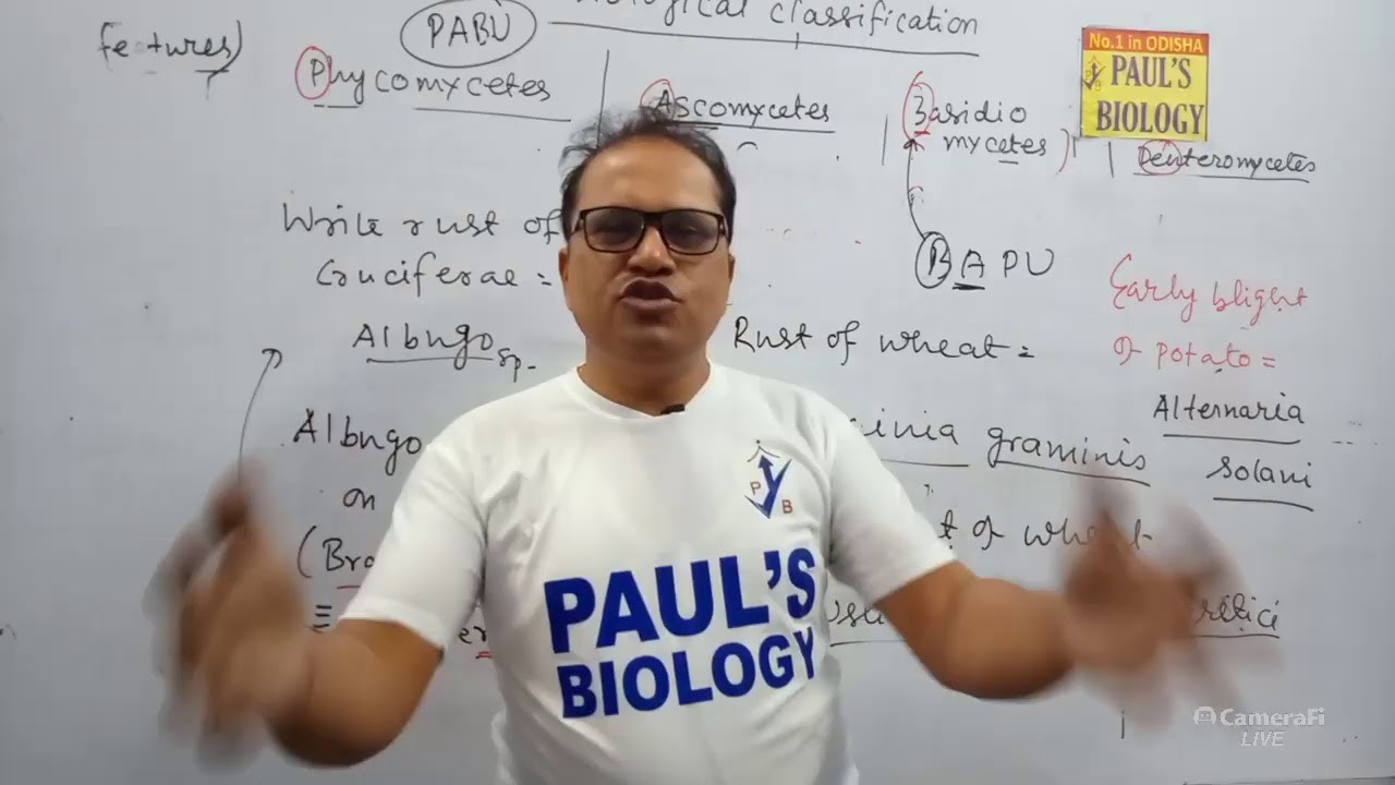 L11l Fungi- Tricks To Remember Classification , Examples, Detailed NCERT