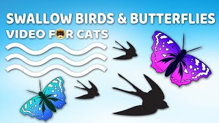 Cat Games - Swallow Birds And Butterflies. Video For Cats | Cat Video | Cat Tv.