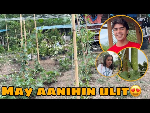 ANG DAMI NG GULAY😍❤️