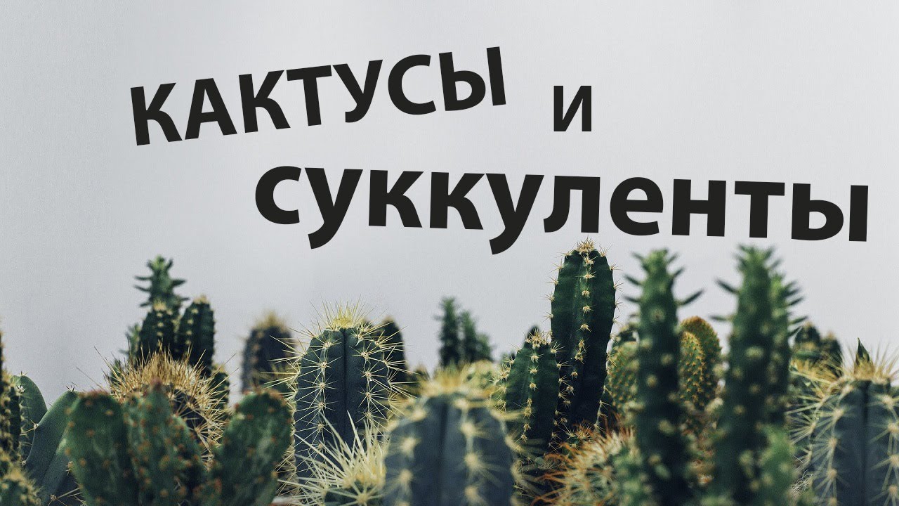 Смотреть видео Смотреть видео