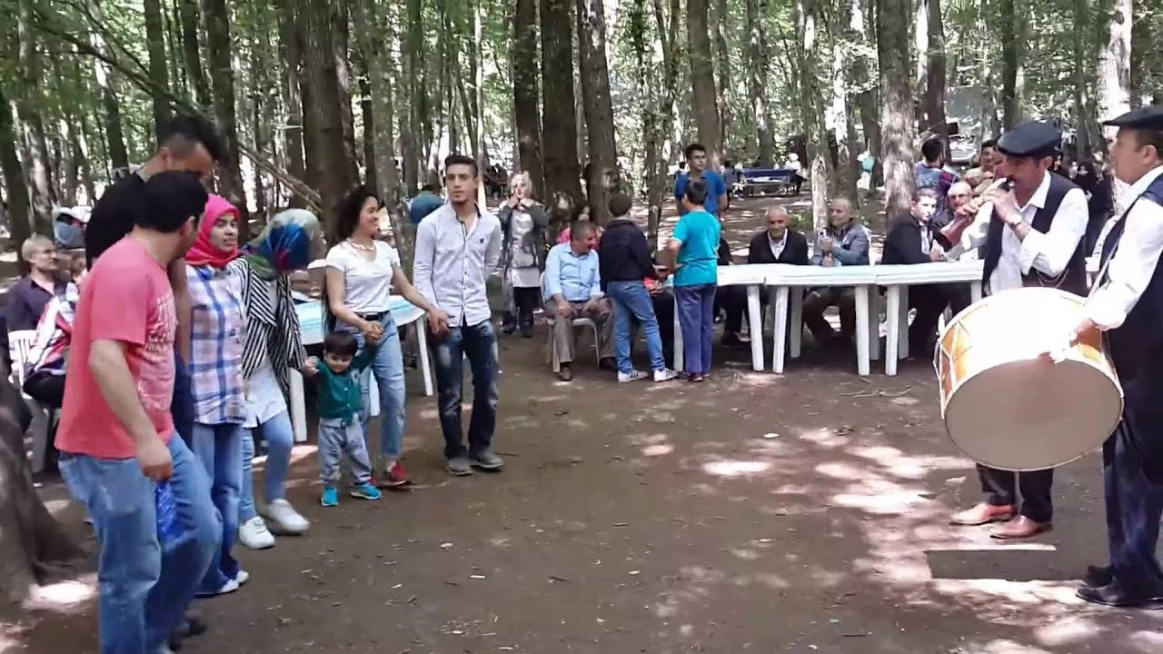 ŞEBİNKARAHİSAR TAŞÇILI KÖYÜ PİKNİĞİ