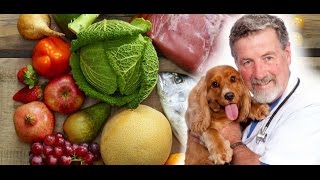 Dr Bs Barf Biologically Appropriate Raw Food For Cats & Dogs