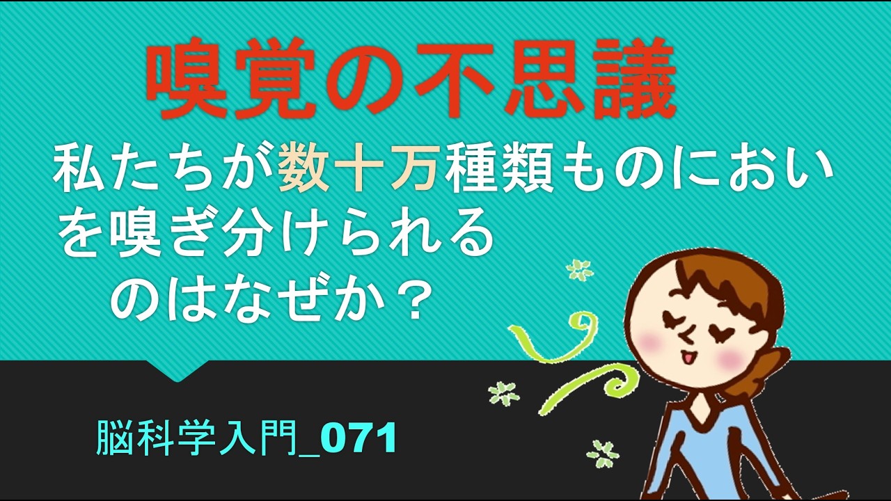 【一般向け／脳科学入門】071_嗅覚の不思議：私たちが数十万種類ものにおいを嗅ぎ分けられるのはなぜか？