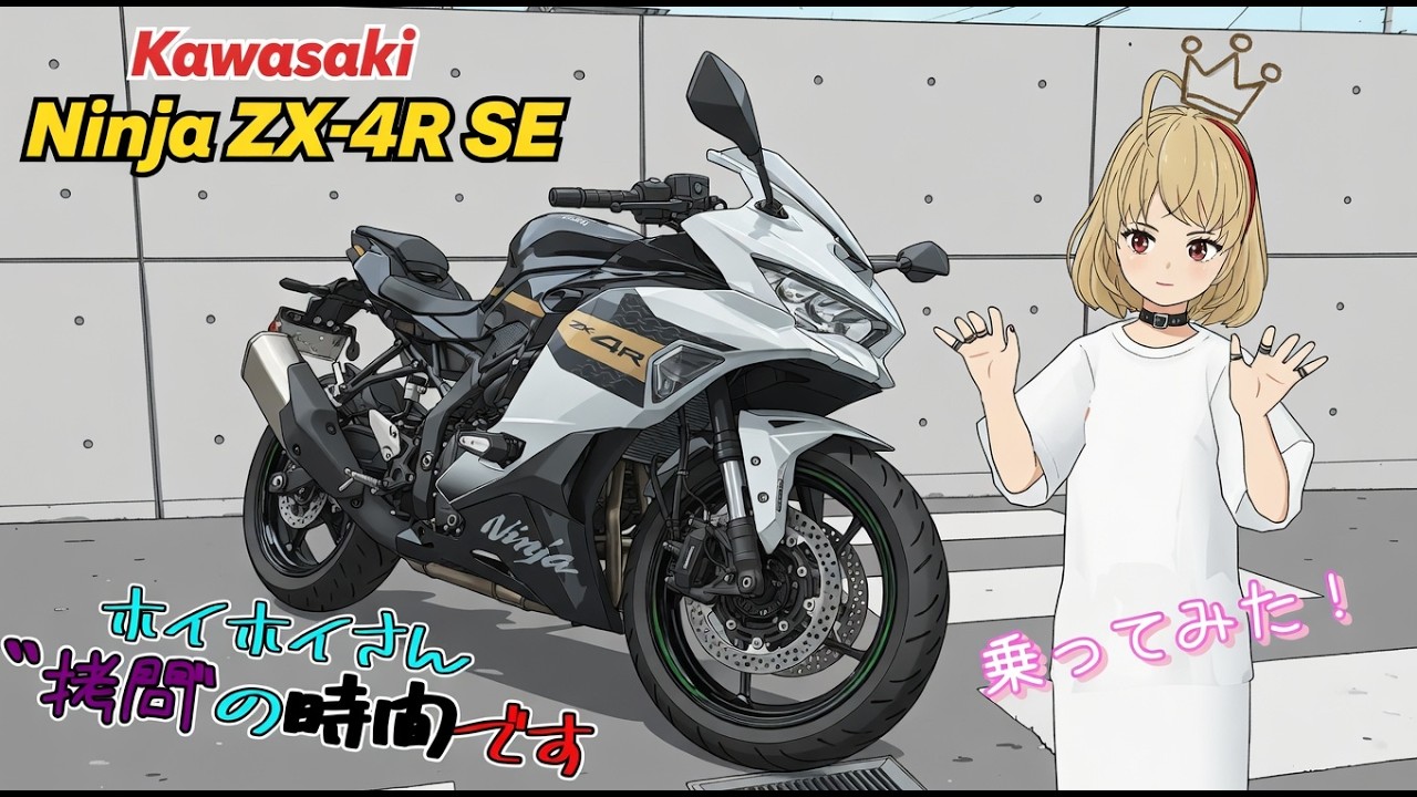 はて NEW For Kawasaki ZX1400 Ninja ZX-14R Abs Concours 14 Abs ZG1400