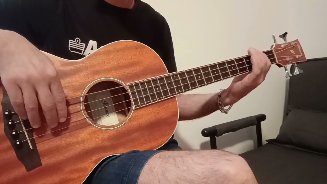 Ibanez acustic bass Ibanez pnb14e-opn 3/4