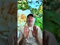 Reiki For You #foryou #love #god #reiki #spirituality