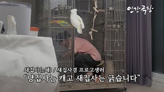 앵무새집사의 일상 -절망편- #대형앵무키우기현실