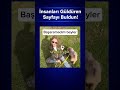 #keşfet