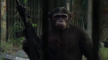 dawn of planet of the apes (Music video)