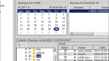 EMC Avamar  VMware Backup Configuration - Part 3