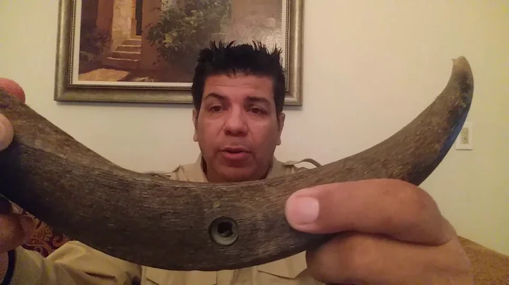 Wood Badge Kudu Horn for Stephen Holloway of Denve...