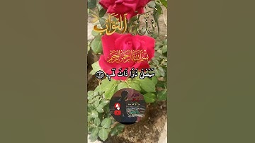 الشيخ سعد الغامدي سورة المسد  اجمل استوريات القران الكريم اجمل حالات واتساب #pubgmobile #edit