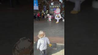 laahh takut mooo #anak #lucu #piknik #cimorydairylandpuncak #puncak #fypシ