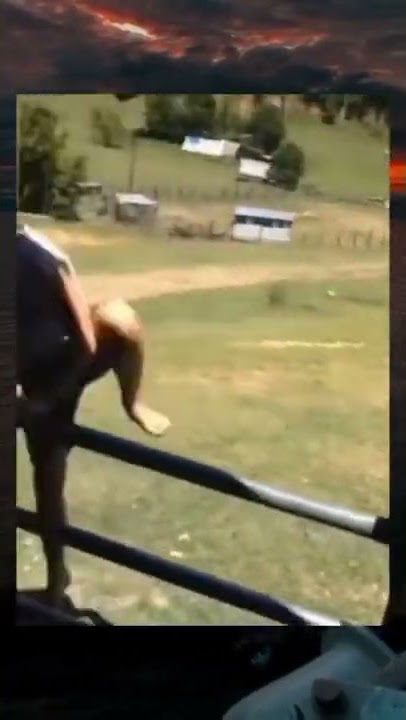 AYAM GAK ADA AKHLAK | GUYON 