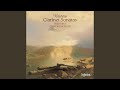 Miniature de la vidéo de la chanson Clarinet Sonata In E-Flat Major, Op. 120 No. 2: Ii. Allegro Appassionato