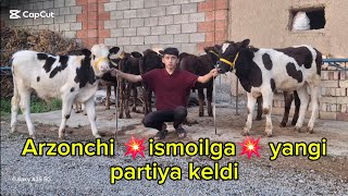 😱Osha 😱mashxur💥 ismoiljonga 💥yangi ⁉️partiyalar keldi 