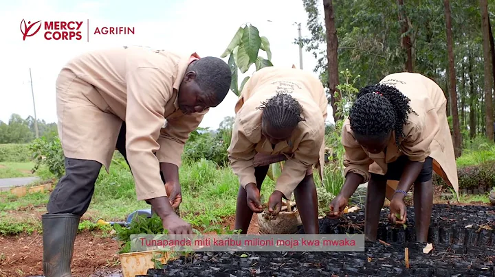 IMPACT SERIES 20: The Incredible Benefits of Agroforestry on Small Farms | FtMA