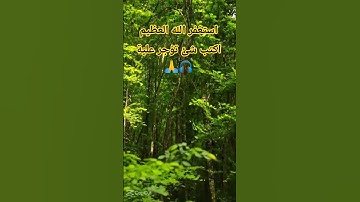 اكتب شئ تؤجر علية #دعاء_مستجاب #تلاوة_خاشعة #تلاوات #دعم #حالات #اكسبلور # #اكتب_شي_توجر_عليه